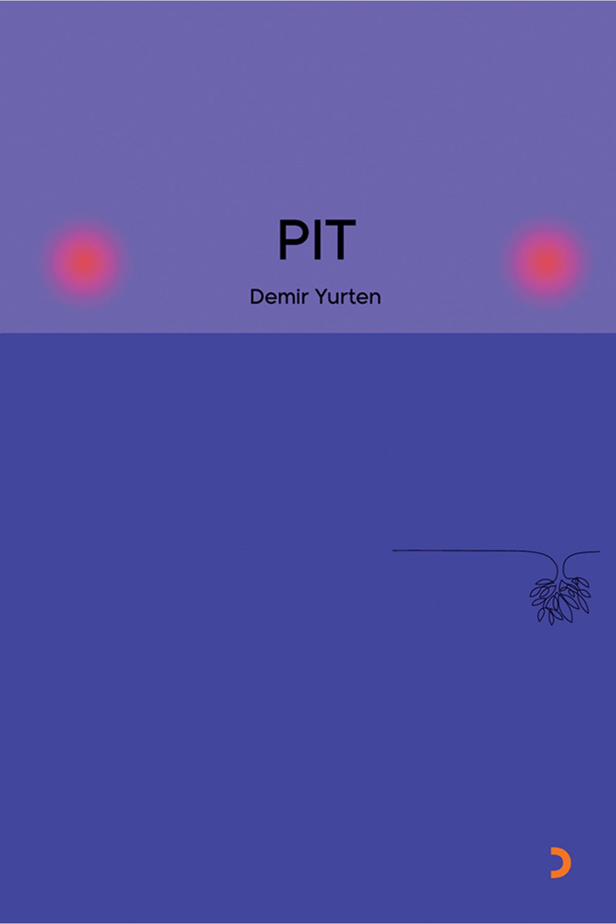 PIT & Demir Yurten kitap kapağı