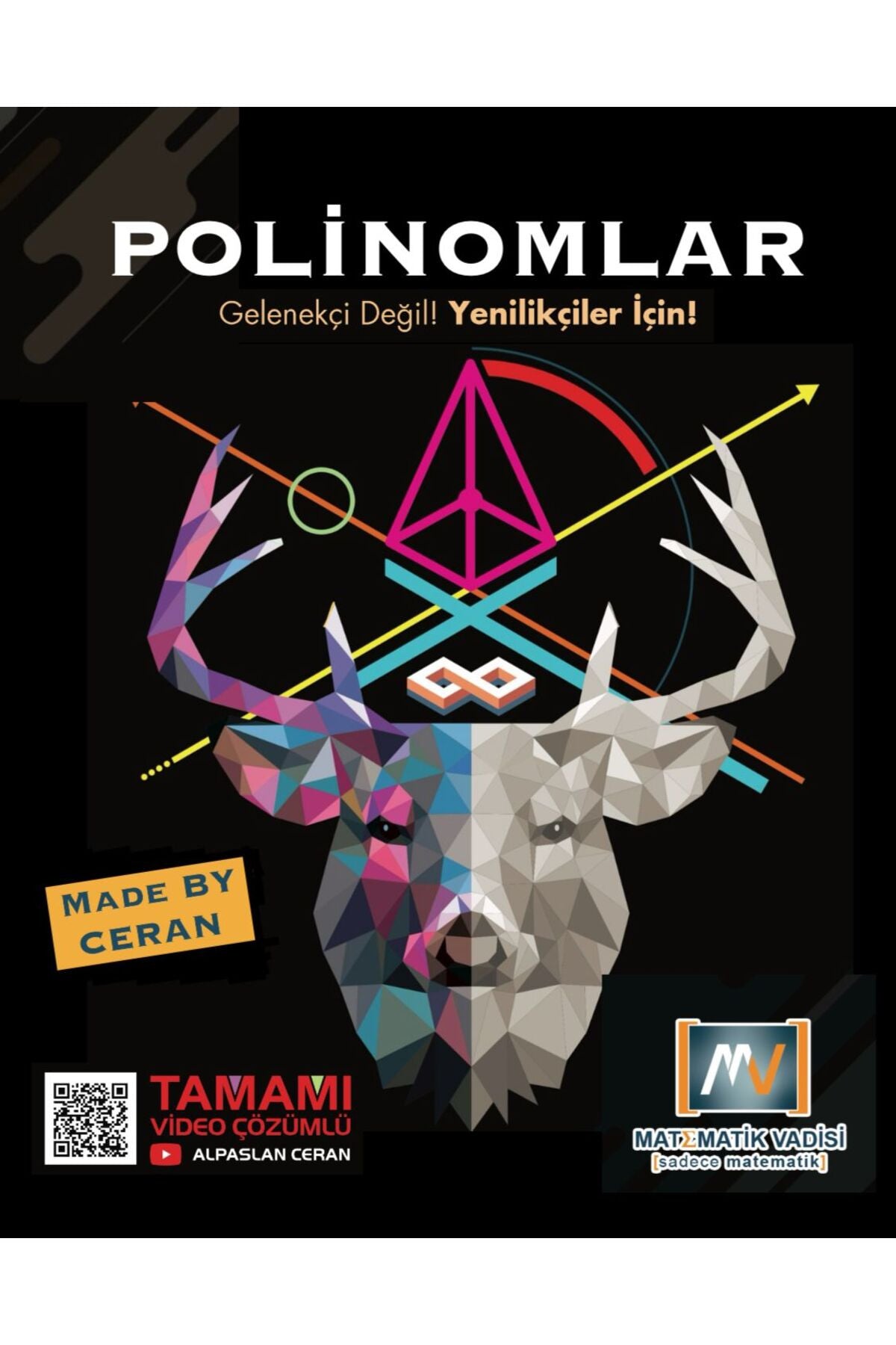 Polinomlar/Matematik Vadisi kitap kapağı