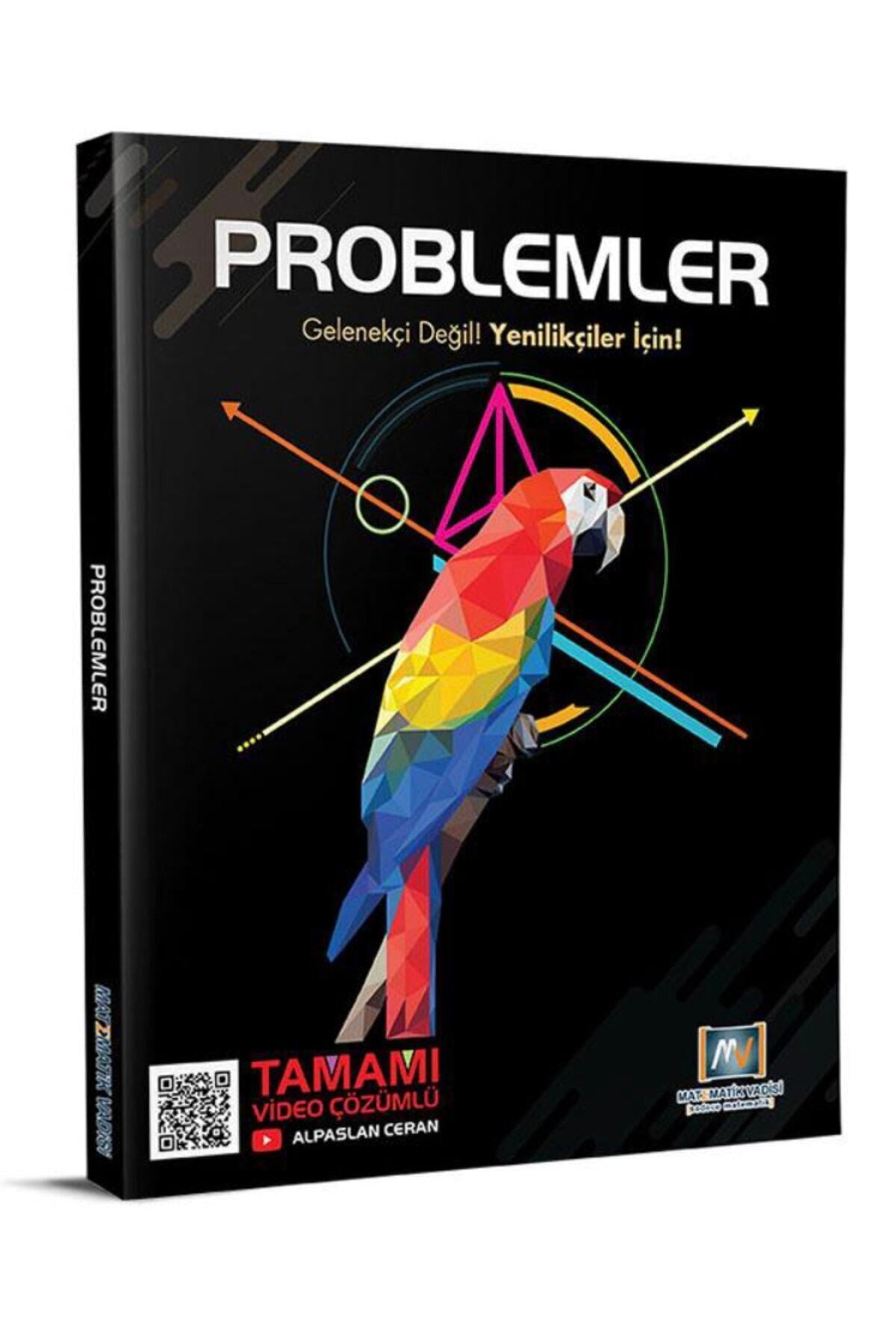 Problemler/Matematik Vadisi kitap kapağı