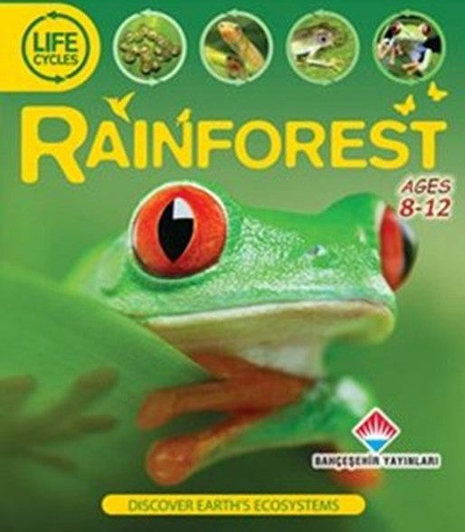 Rainforest - Sean Callery kitap kapağı