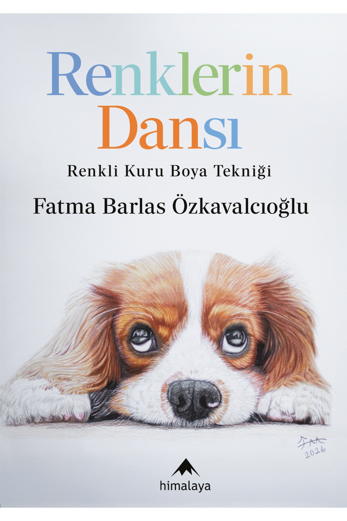 Renklerin Dansı kitap kapağı