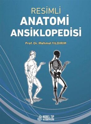 Resimli Anatomi Ansiklopedisi - Mehmet Yıldırım kitap kapağı