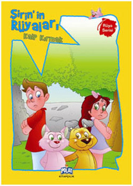 Şirin'in Rüyaları Kalp Kırmak - Ercan Dinçer kitap kapağı