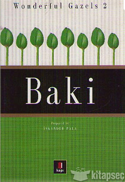 Baki - İskender Pala kitap kapağı