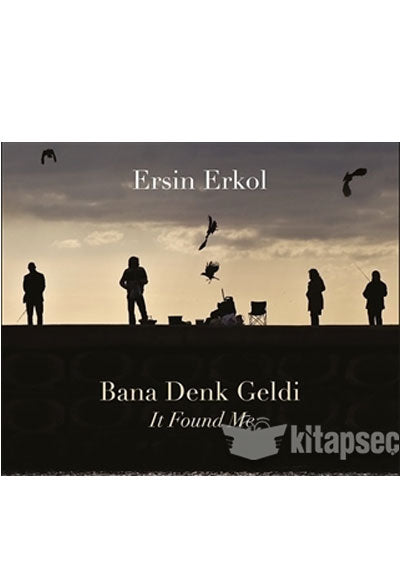 Bana Denk Geldi - Ersin Erkol kitap kapağı