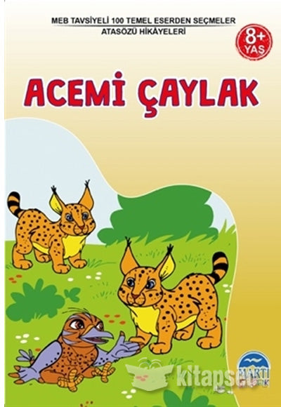 Acemi Çaylak Kollektif Martı Çocuk Kulubü - Mehmet Orhan kitap kapağı