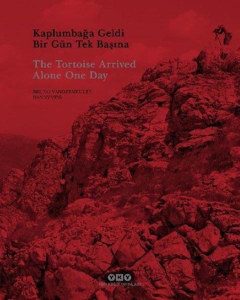 Kaplumbağa Geldi Bir Gün Tek Başına - The Tortoise Arrived Alone One Day | Yapı Kredi Yayınları (İnce Kapak)  - Resim 1