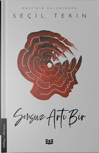 Sonsuz Artı Bir | Vaveyla Yayıncılık (Ciltsiz)  - Resim 1