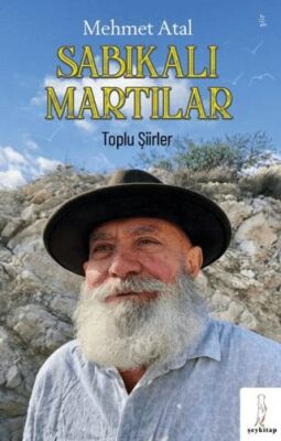 Sabıkalı Martılar Toplu Şiirler - Mehmet Atal kitap kapağı