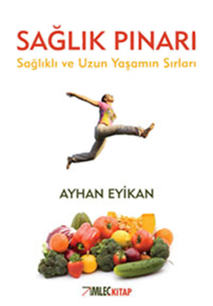 İmleç Kitap Sağlık Pınarı - Ayhan Eyikan kitap kapağı