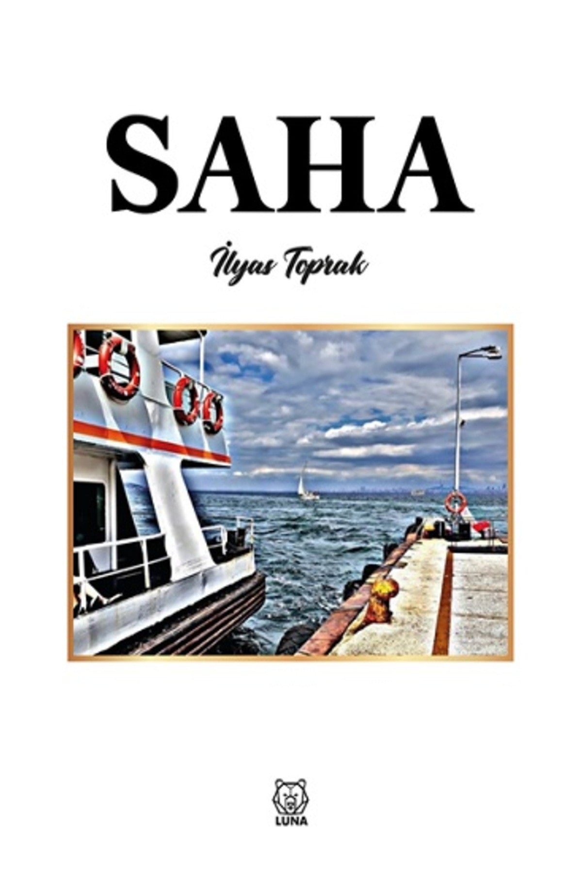 Saha Ilyas Toprak kitap kapağı