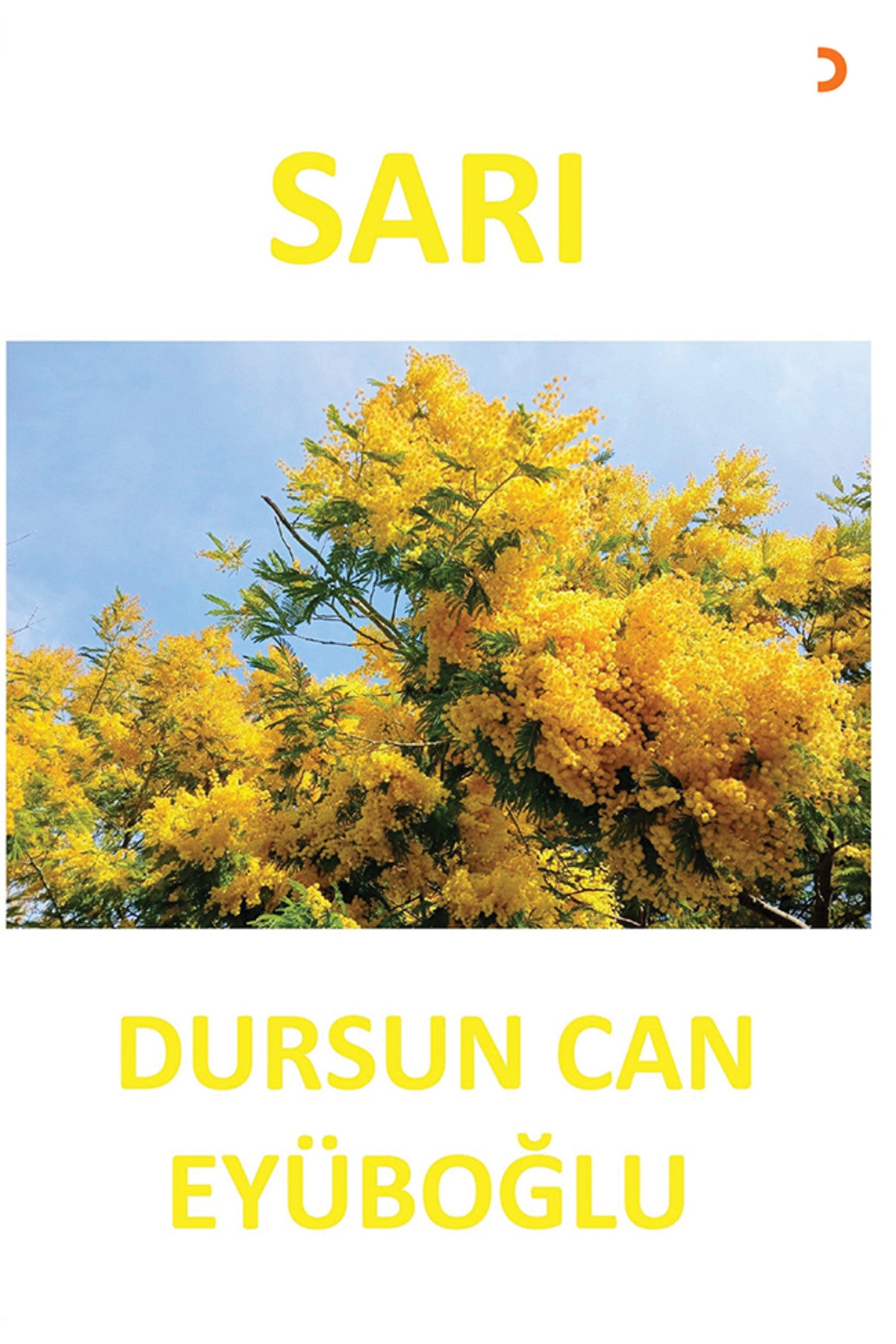 SARI & Dursun Can Eyüboğlu kitap kapağı