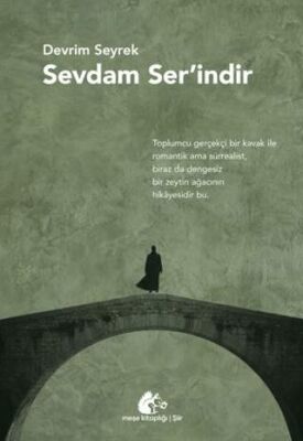Sevdam Ser’indir - Devrim Seyrek kitap kapağı