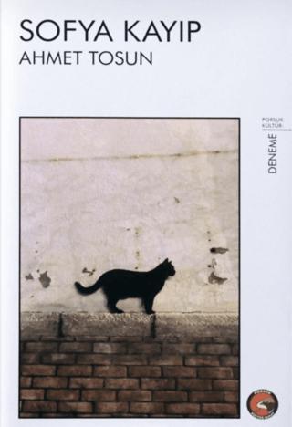 Sofya Kayıp | Porsuk Kültür Yayıncılık (Ciltsiz)  - Resim 1