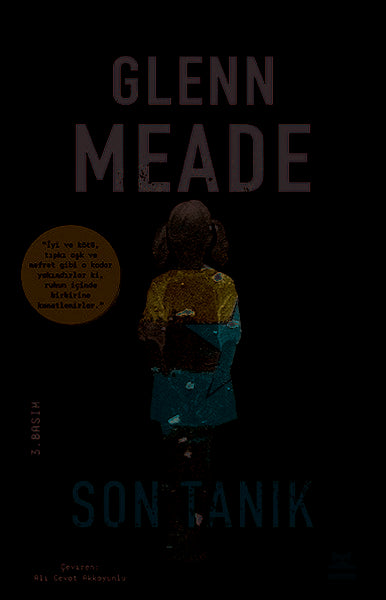 Kırmızı Kedi Yayınevi Son Tanık - Glenn Meade kitap kapağı