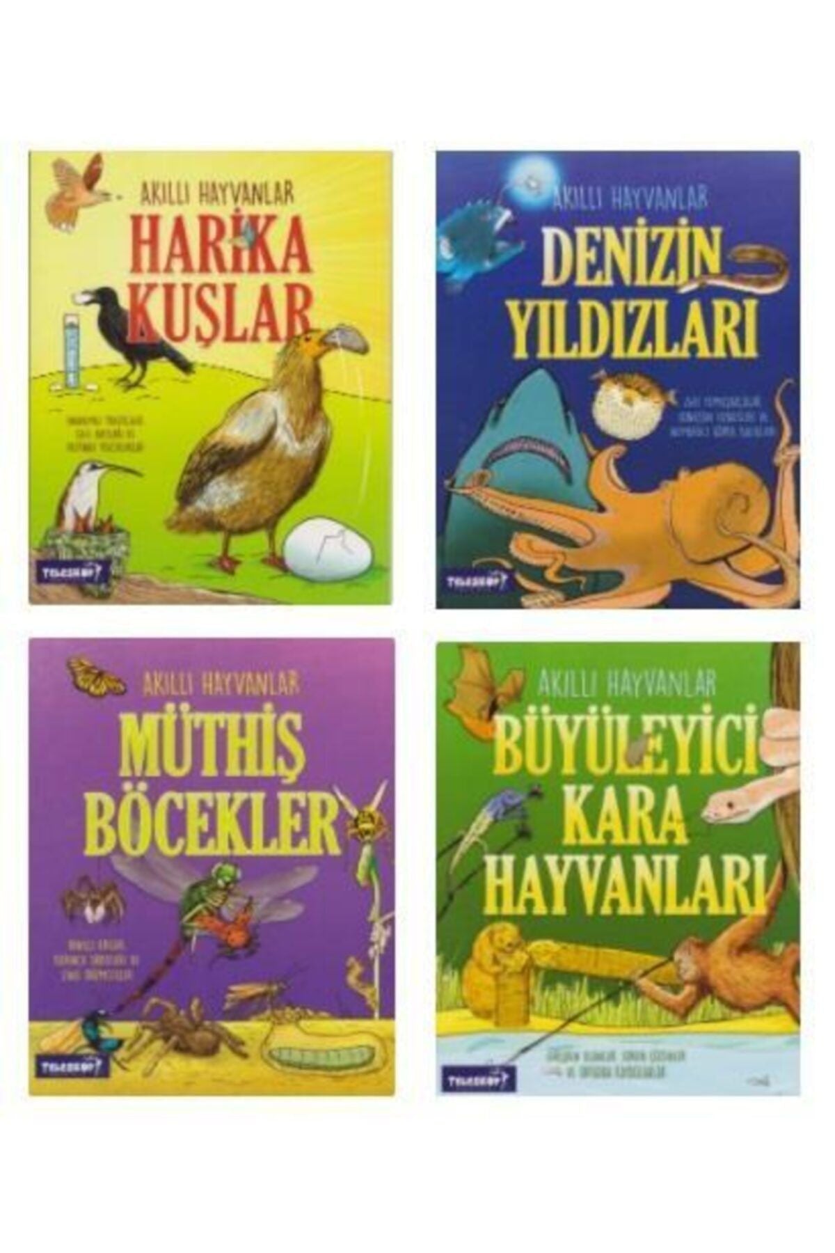 Teleskop Popüler Bilim Akıllı Hayvanlar Serisi 4 Kitap kitap kapağı