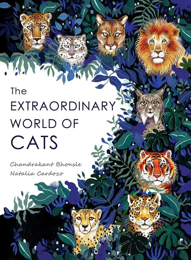 The Extraordinary World of Cats kitap kapağı