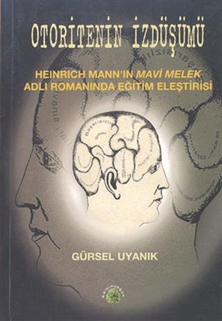 Otoritenin İzdüşümü