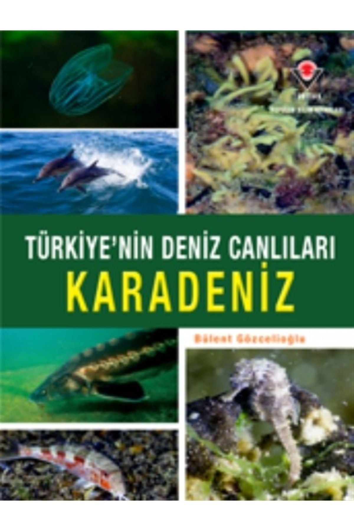 Tübitak Yayınları Karadeniz - Türkiye'Nin Deniz Canlıları - Bülent Gözcelioğlu 9786053123811 kitap kapağı