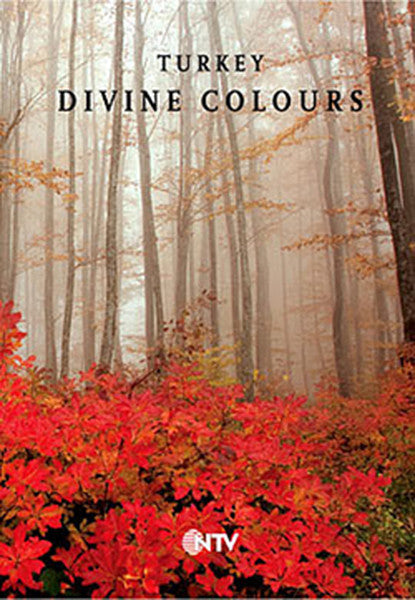 Turkey Divine Colours (Ciltli) - NTV Yayın Ajansı kitap kapağı