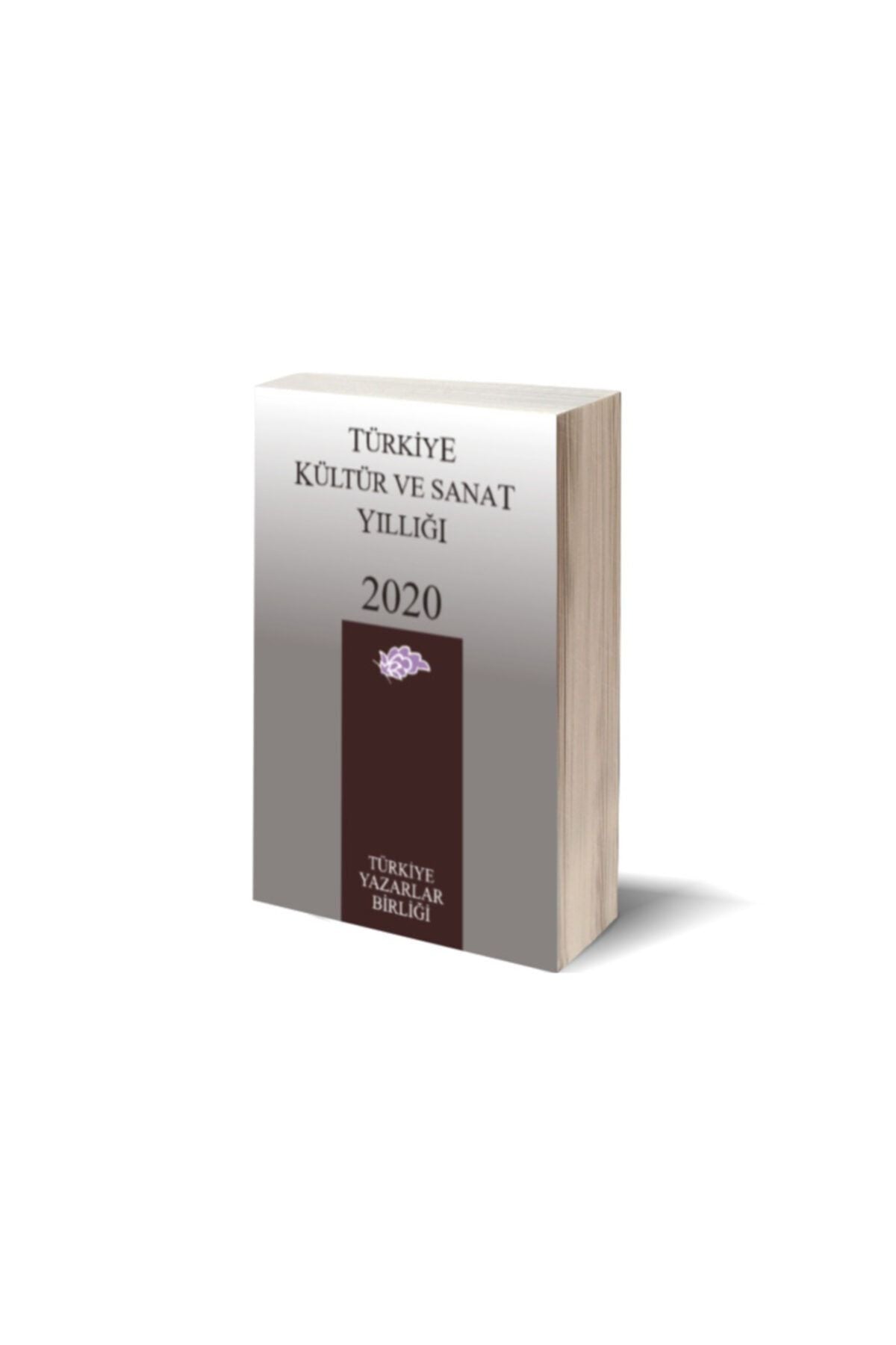 Türkiye Kültür Ve Sanat Yıllığı 2020 kitap kapağı