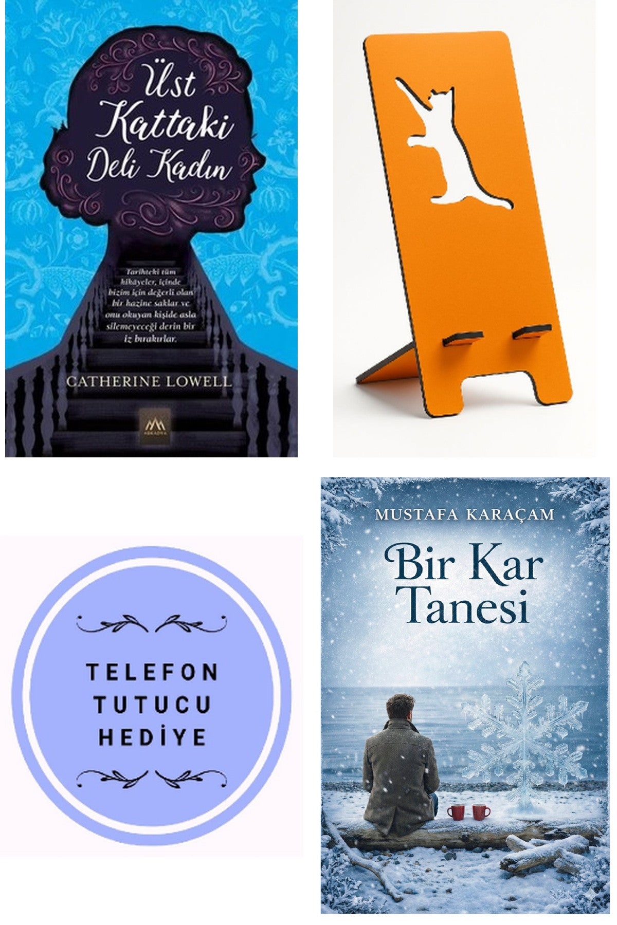 Üst Kattaki Deli Kadın - Catherine Lowell + Telefon Tutucu + Bir Kar Tanesi kitap kapağı
