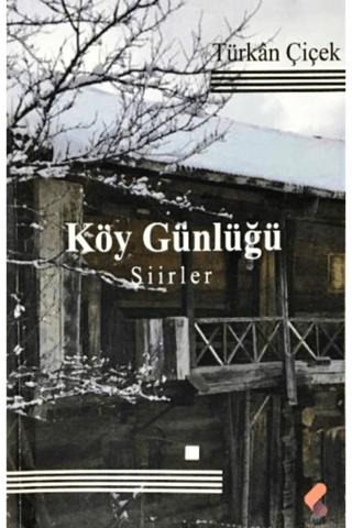 Köy Günlüğü