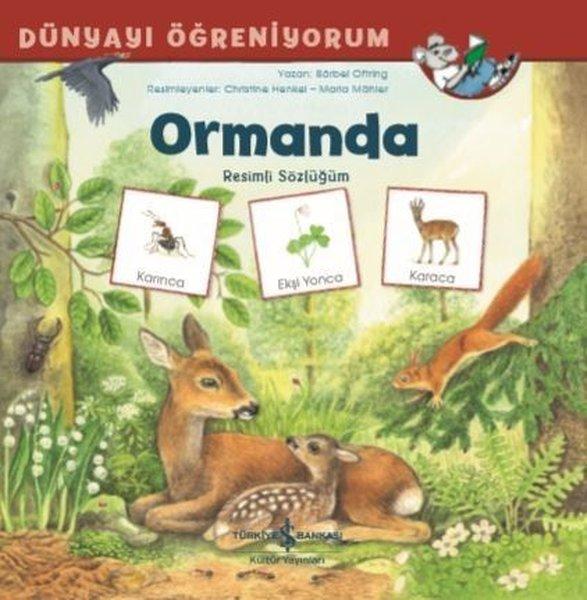 Ormanda Resimli Sözlüğüm-Dünyayı Öğreniyorum | İş Bankası Kültür Yayınları (İnce Kapak)  - Resim 1