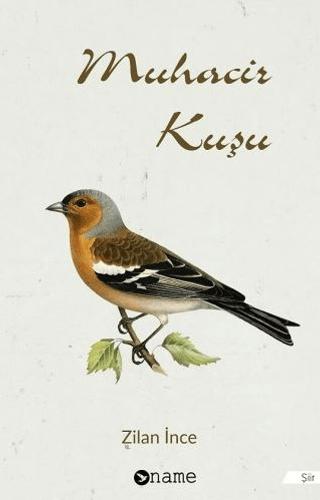 Muhacir Kuşu
