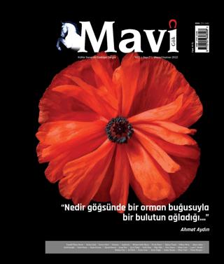 Mavi Gök Kültür Sanat Edebiyat Dergisi Sayı: 7 Mayıs - Haziran 2022 | Mavi Gök Dergisi Yayınları (Ciltsiz)  - Resim 1