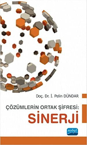 Çözümlerin Ortak Şifresi - Sinerji | Nobel Akademi Yayıncılık