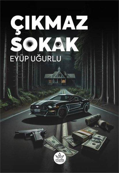 Çıkmaz Sokak | Elpis Yayınları (İnce Kapak)  - Resim 1