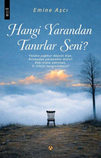 Hangi Yarandan Tanırlar Seni? | Ares Kitap (İnce Kapak)  - Resim 1