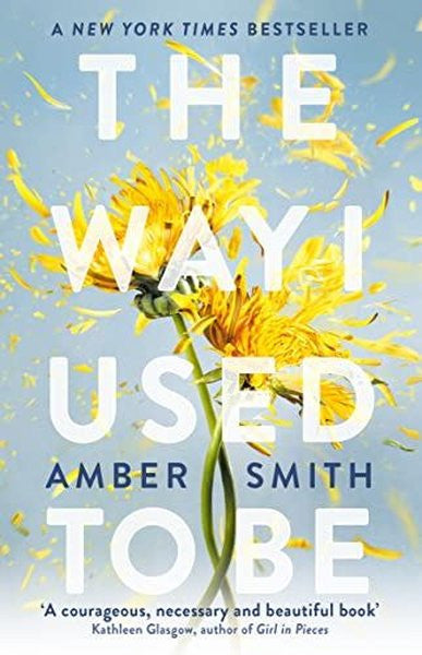 Way I Used to Be (Way I Used to Be) - Amber Smith kitap kapağı