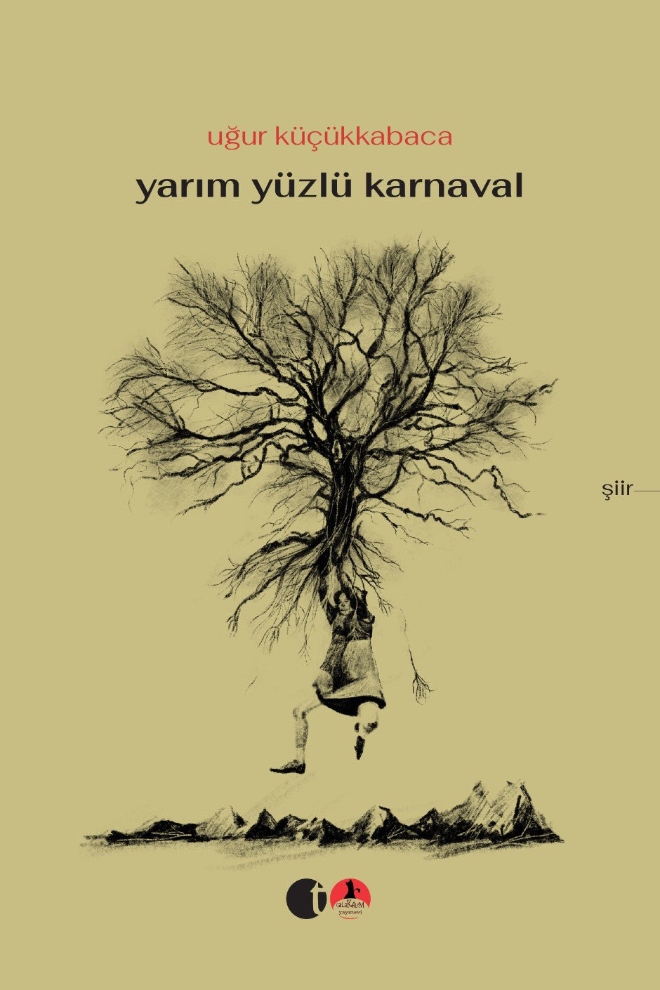 Yarım Yüzlü Karnaval - Uğur Küçükkabaca kitap kapağı