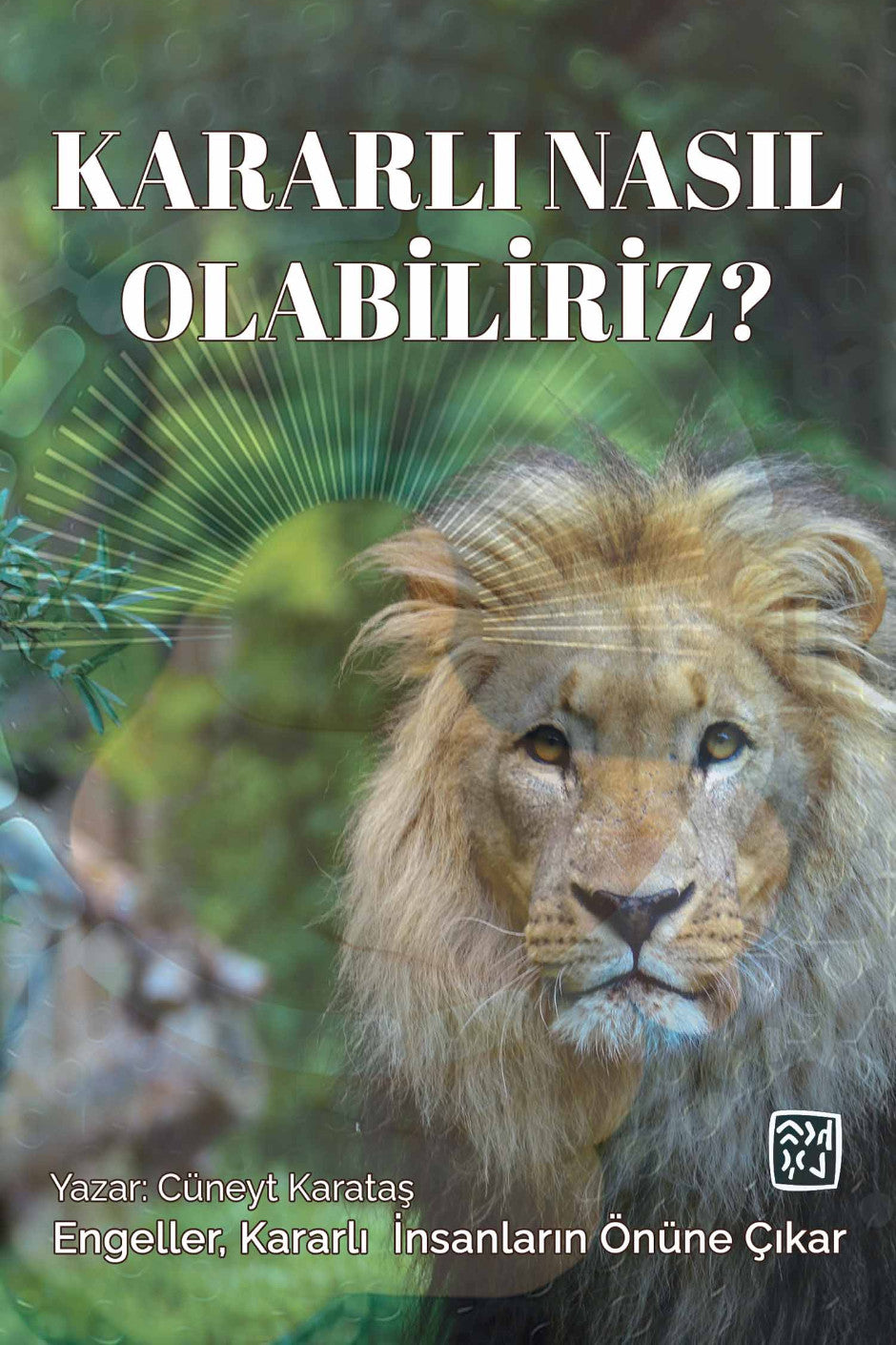 Kararlı Nasıl Olabiliriz? - Cüneyt Karataş kitap kapağı