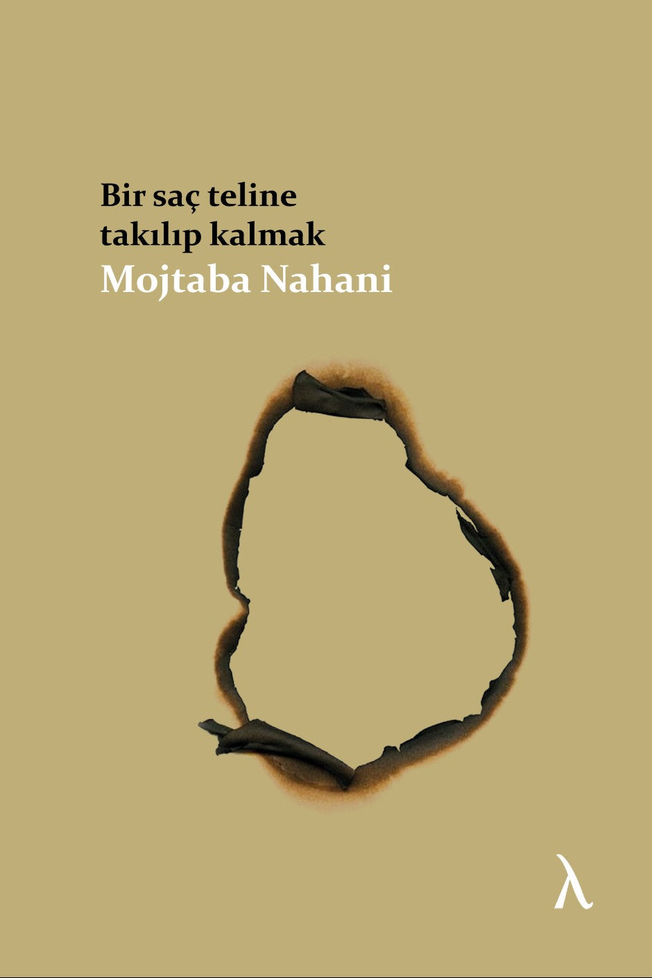 Bir Saç Teline Takılıp Kalmak - Mojtaba Nahani kitap kapağı