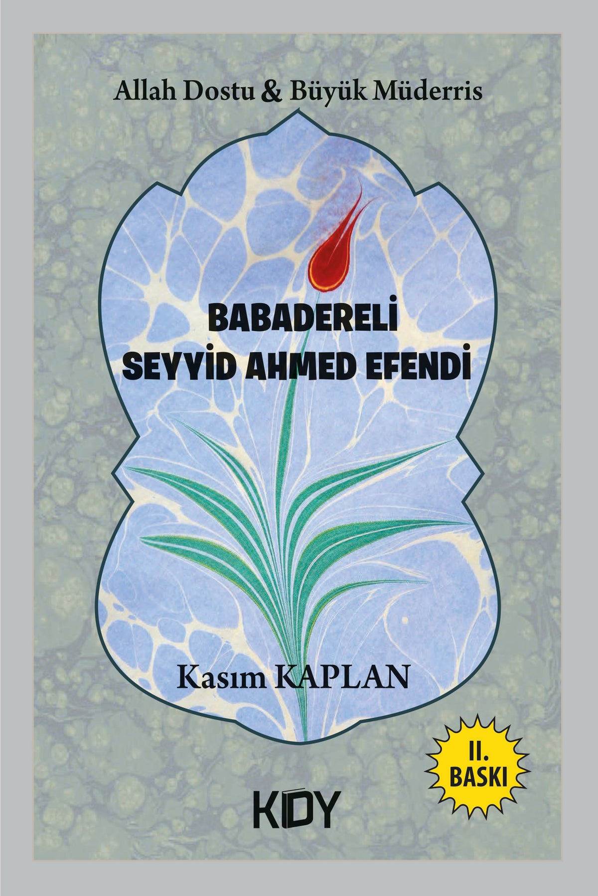 Allah Dostu Büyük Müderris Babadereli Seyyid Ahmed Efendi - Kasım Kaplan kitap kapağı