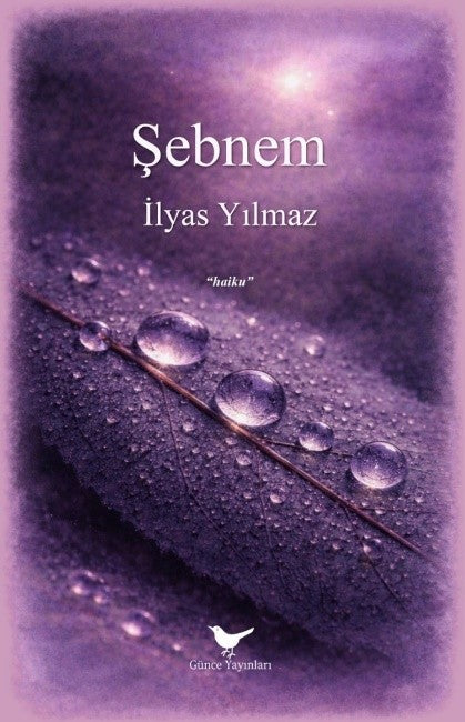 Şebnem - İlyas Yılmaz kitap kapağı