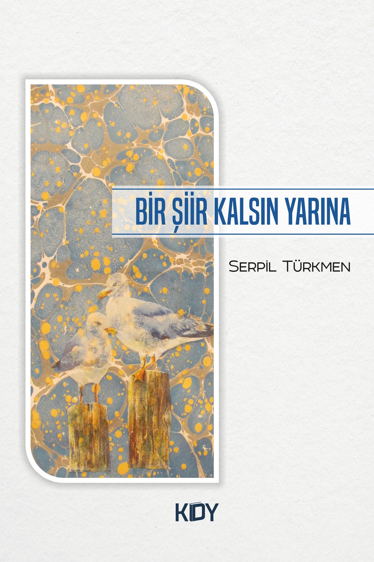 Bir Şiir Kalsın Yarına - Serpil Türkmen kitap kapağı