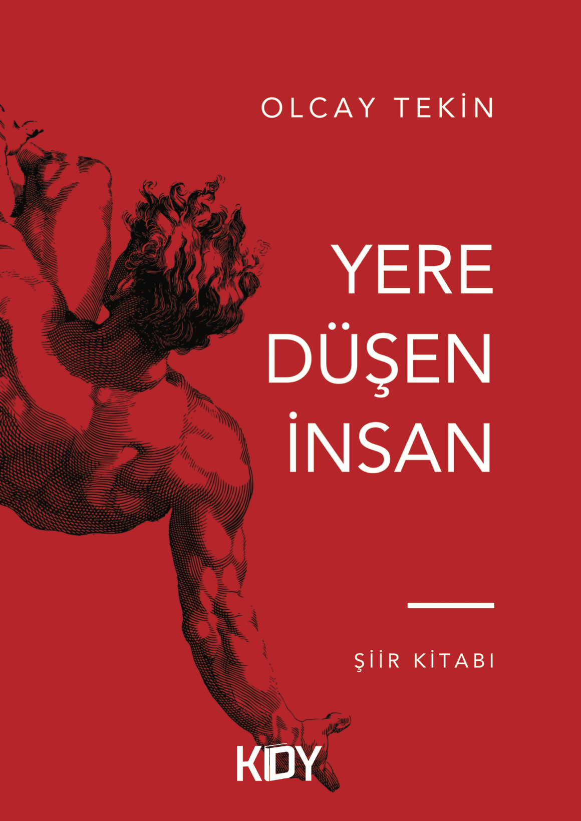 Yere Düşen İnsan - Olcay Tekin kitap kapağı