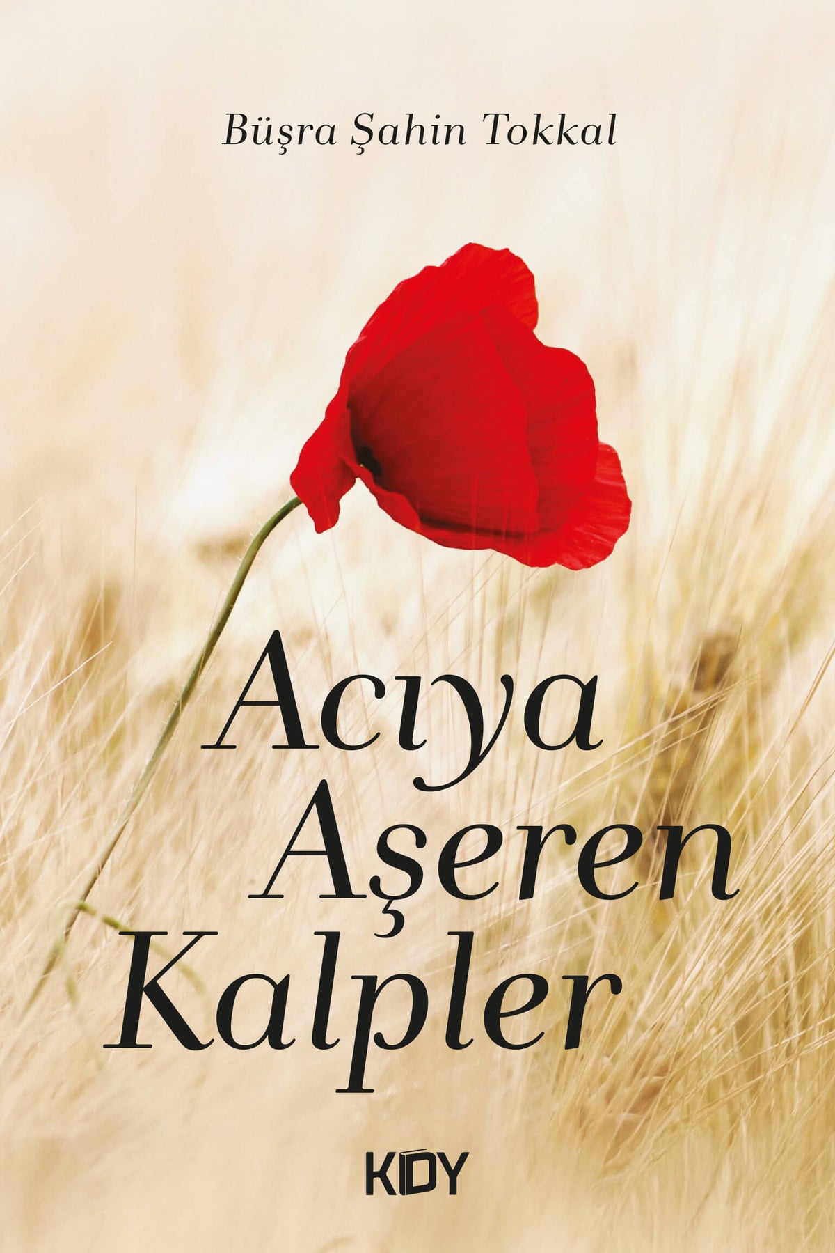 Acıya Aşeren Kalpler - Büşra Tokkal kitap kapağı