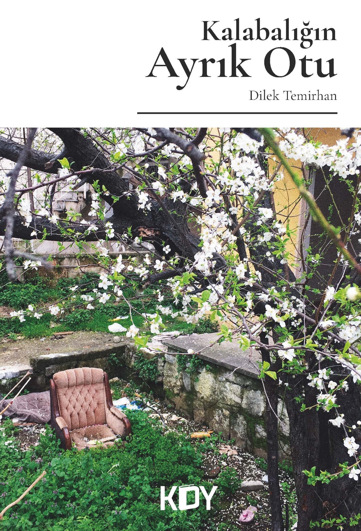 Kalabalığın Ayrık Otu - Dilek Temirhan kitap kapağı