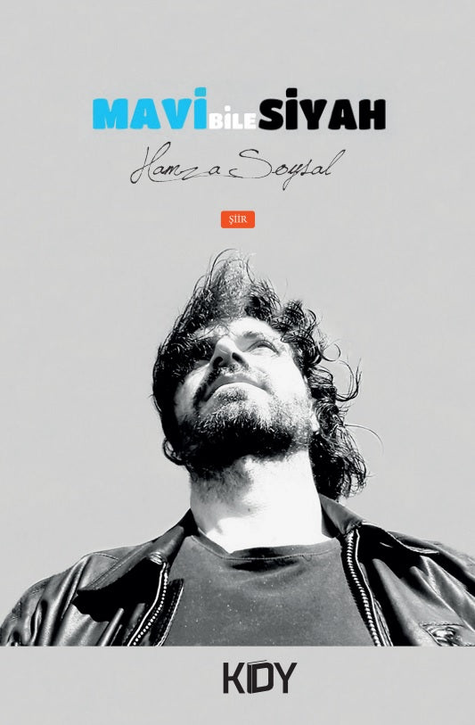 Mavi Bile Siyah - Hamza Soysal kitap kapağı