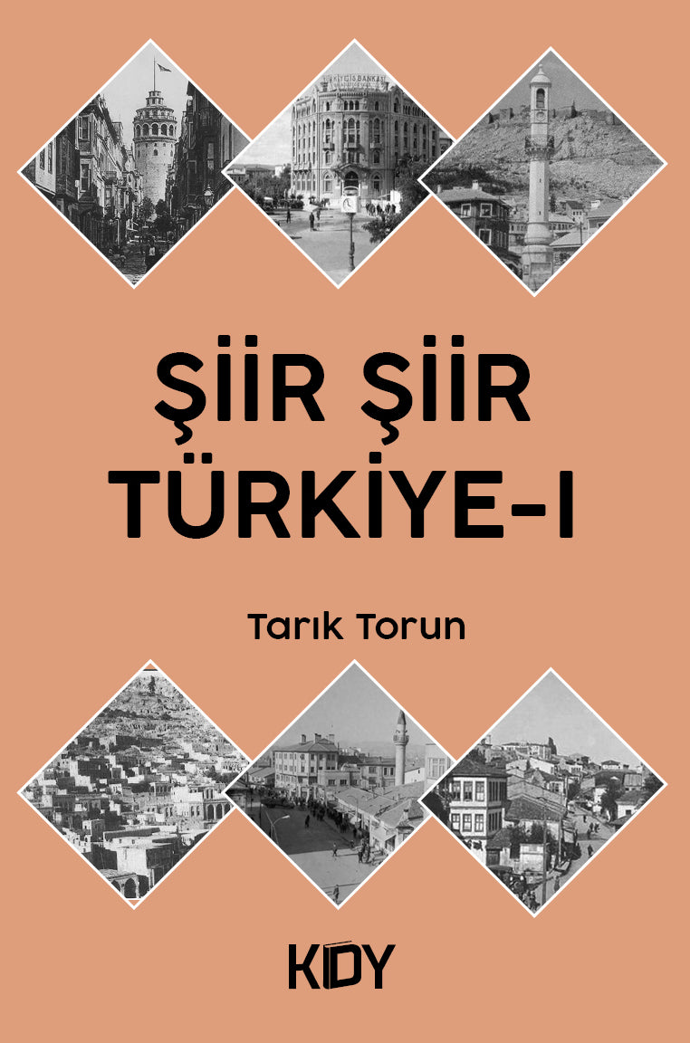 Şiir Şiir Türkiye 1 - Tarık Torun kitap kapağı