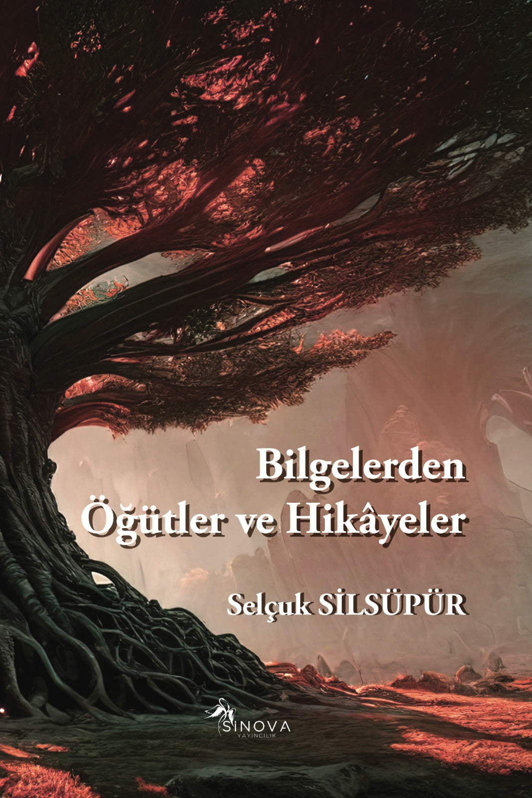 Bilgelerden Öğütler ve Hikayeler - Selçuk Silsüpür kitap kapağı