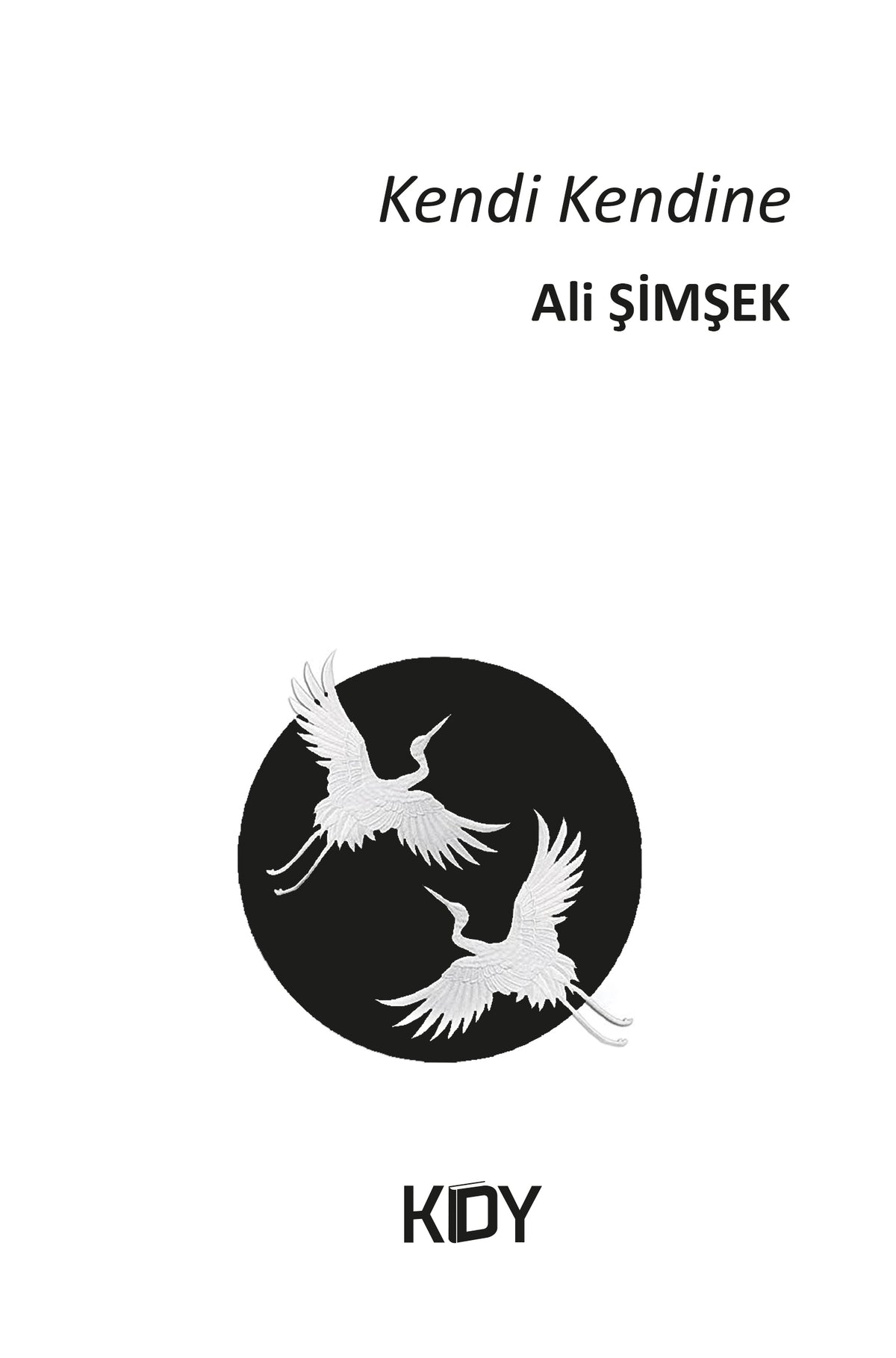 Kendi Kendine - Ali Şimşek kitap kapağı