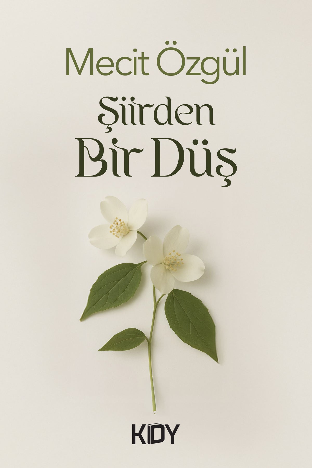 Şiirden Bir Düş - Mecit Özgül kitap kapağı