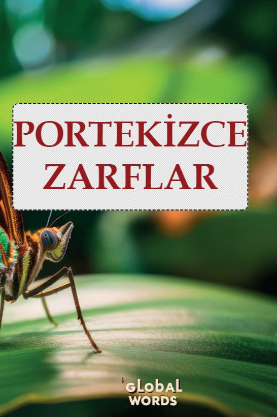 Portekizce Zarflar - Kolektif kitap kapağı