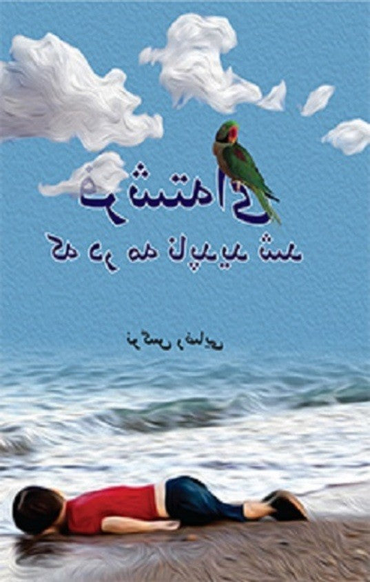 An Angel That Disapeared Into The Fog - Narges Rezaie kitap kapağı